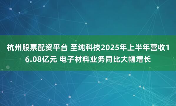 杭州股票配资平台 至纯科技2025年上半年营收16.08亿元 电子材料业务同比大幅增长