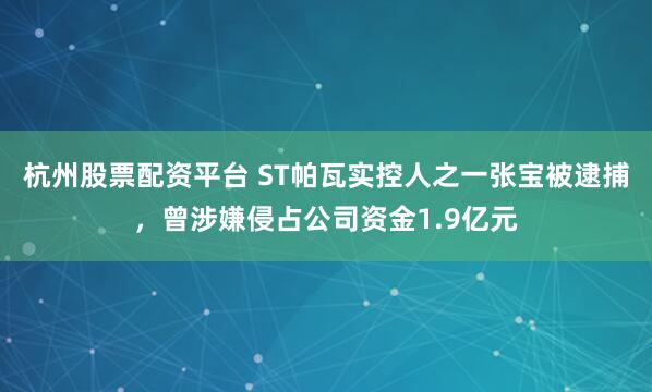 杭州股票配资平台 ST帕瓦实控人之一张宝被逮捕，曾涉嫌侵占公司资金1.9亿元