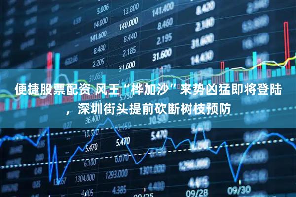 便捷股票配资 风王“桦加沙”来势凶猛即将登陆，深圳街头提前砍断树枝预防